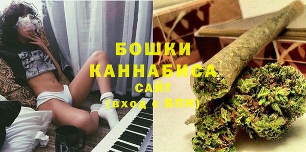 прущие грибы Белоозёрский