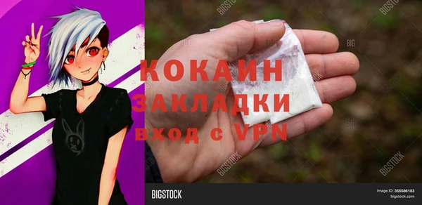 прущие грибы Зеленокумск