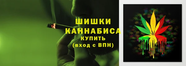 прущие грибы Белоозёрский