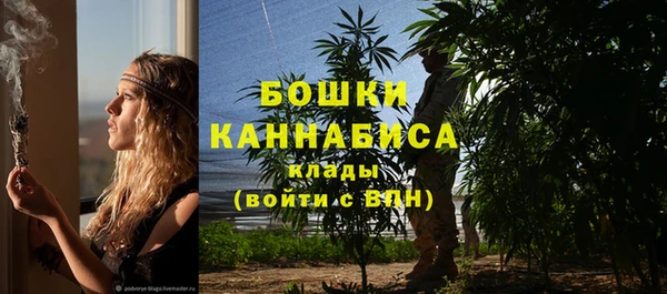прущие грибы Белоозёрский