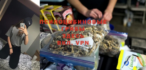 прущие грибы Белоозёрский