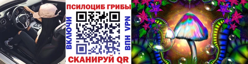 Галлюциногенные грибы Cubensis Навашино